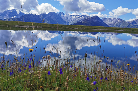wiese berge img carousel
